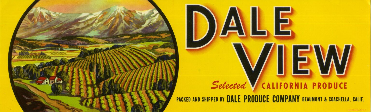Dale View